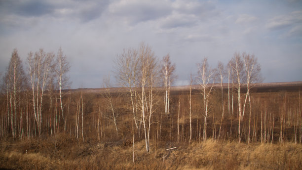 西伯利亚大草原图片下载