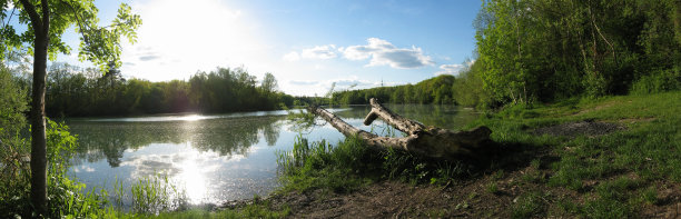 湖在夏天图片下载