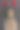 带心形头带的贵宾犬图片下载
