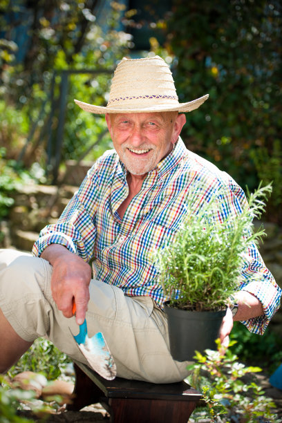 高级在花园图片下载