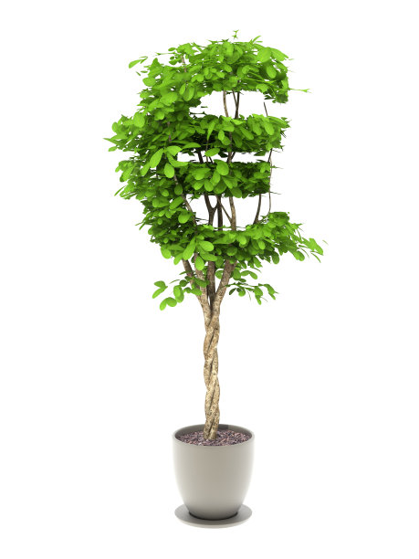 欧元的标志图片下载