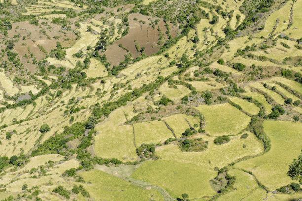 非洲风景的全景照片图片下载