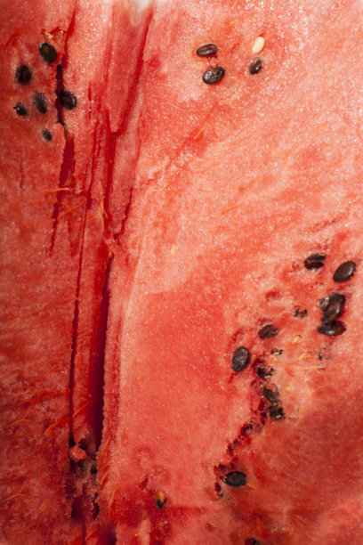 以新鲜成熟的红西瓜为背景图片下载