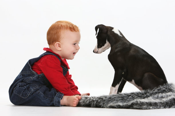 孩子和小狗图片下载