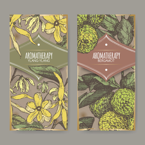 两个标签与依兰依兰和佛手柑橙色草图图片下载