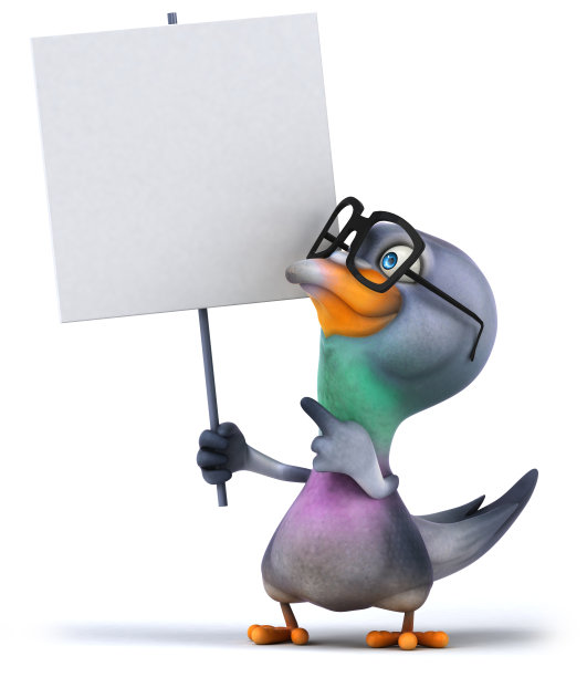 有趣的鸽子图片下载