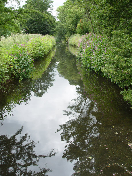 平静的河流图片下载