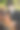 女子马术运动员正在为比赛做准备图片下载