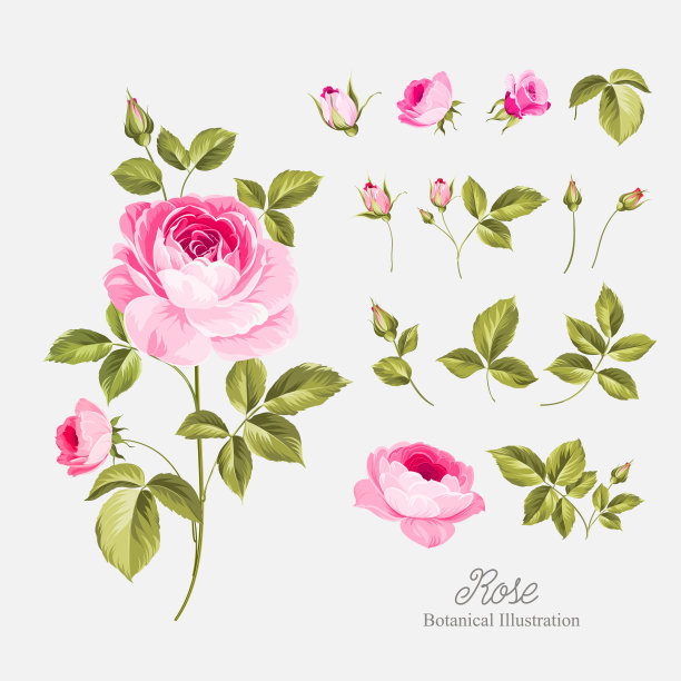 婚礼鲜花包。图片下载