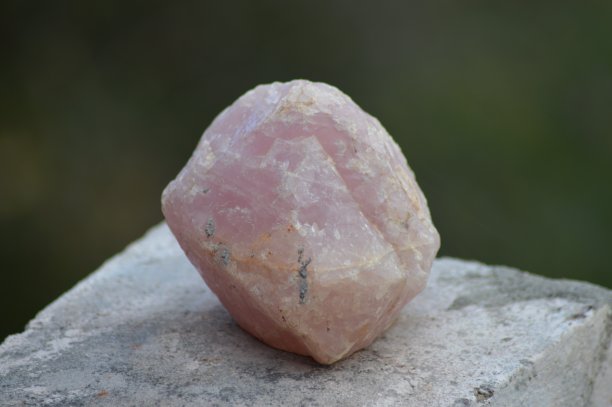 石英的玫瑰图片下载