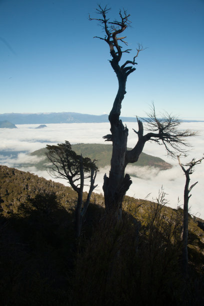 查看 Cerro Toribio图片下载