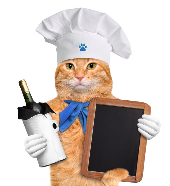 猫用酒。图片下载