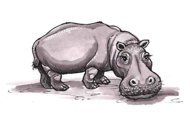 河马(卡通)图片下载