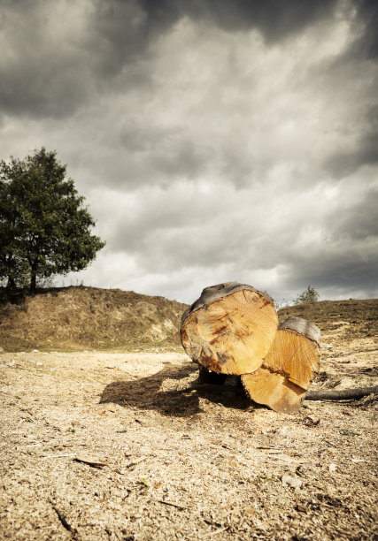 拯救树木和地球。木头日志。图片下载