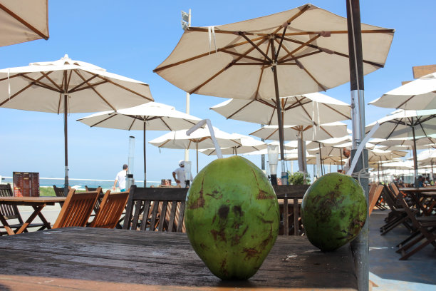 海滩餐厅的椰子汁图片下载