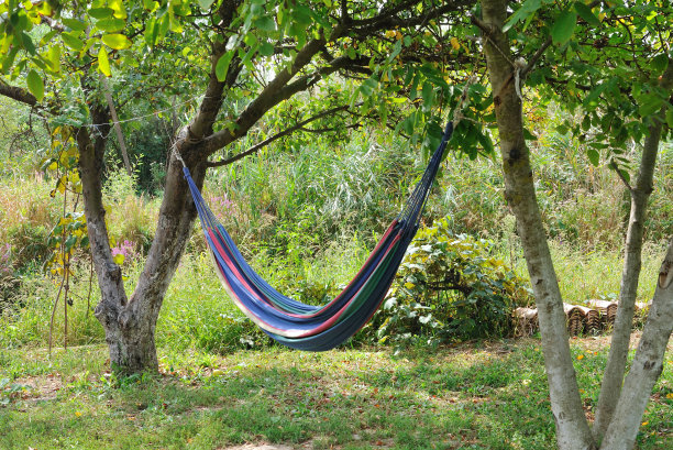 吊在树上放松的吊床。图片下载