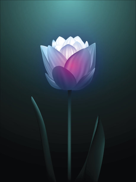 花插图图片下载