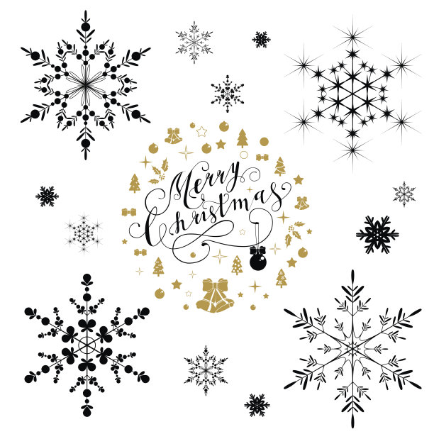 美丽的雪花为圣诞节而设图片下载