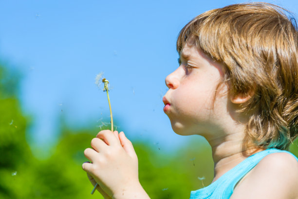 孩子吹蒲公英在户外的绿色图片下载