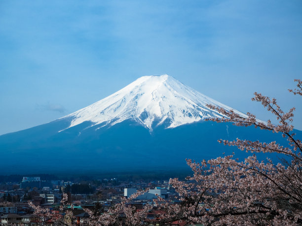 樱花盛开的富士山和小镇图片下载