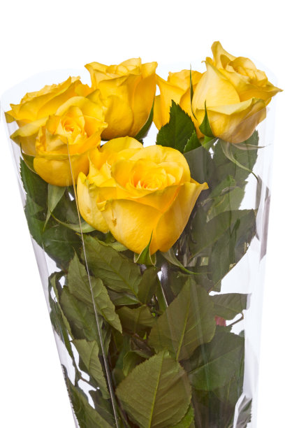 一束用玻璃纸包着的黄玫瑰图片下载