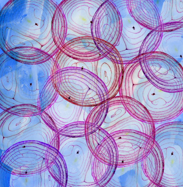 洋葱与冰的背景图片下载