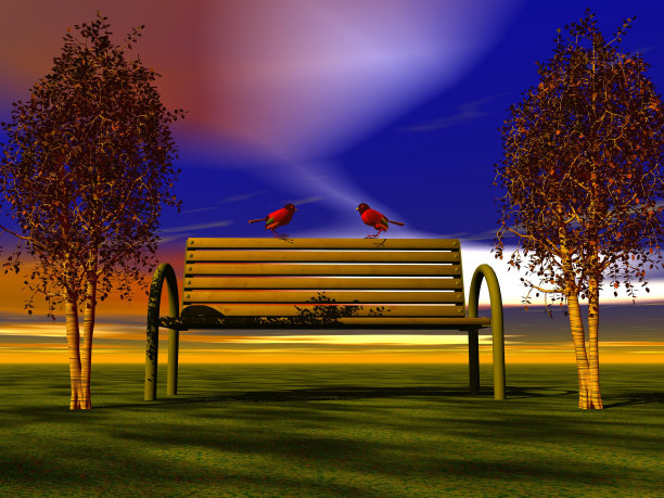 板凳和鸟类图片下载