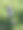 薰衣草梗图片下载