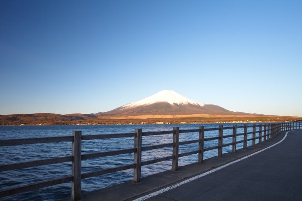 春天的富士山，樱花盛开图片下载