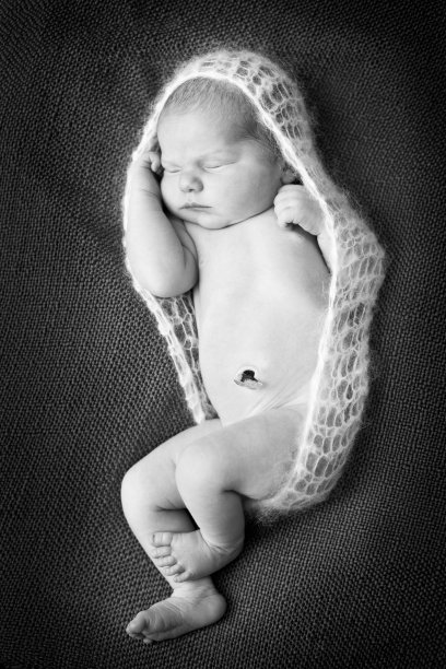 新生儿在茧中睡觉的黑白图像图片下载