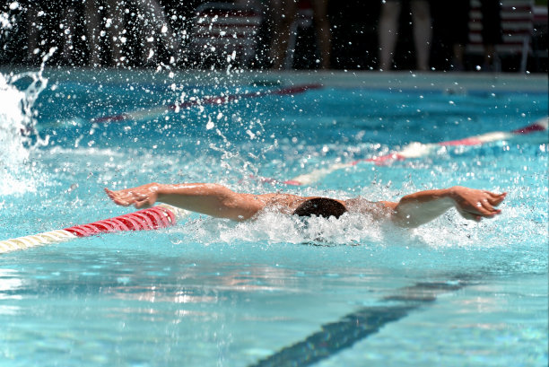 游泳比赛中的蝶泳选手图片下载
