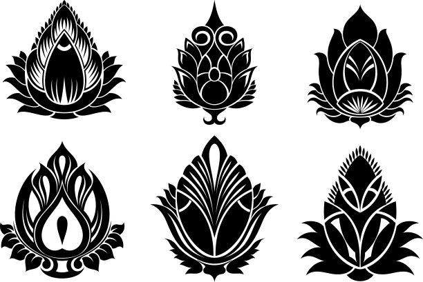 一套插图装饰荷花图片下载