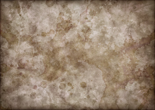 高分辨率古代动物皮肤羊皮纸Vignette Grunge纹理图片下载