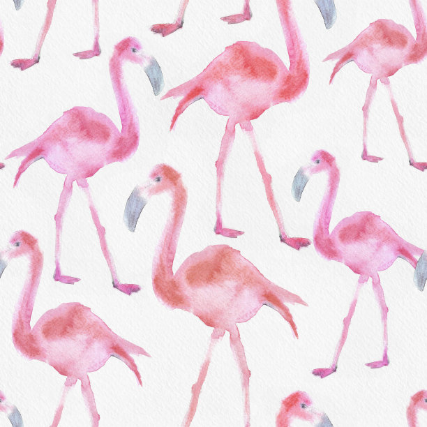 水彩无缝图案与火烈鸟图片下载
