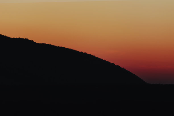 日落时的森林景观。图片下载