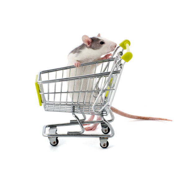 在超市购物车旁边的孩子可爱的装饰老鼠。图片下载