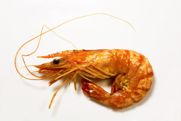 番茄虾图片下载