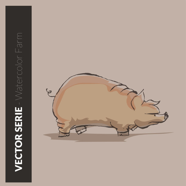 杯子里的猪图片下载