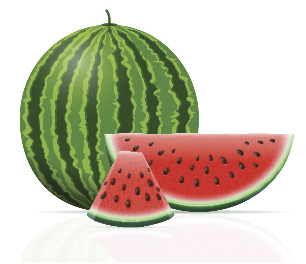 西瓜熟多汁矢量插图图片下载