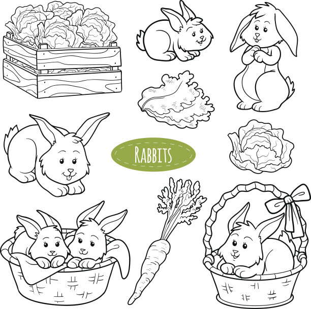 一套可爱的农场动物和物体，媒介家庭兔子图片下载