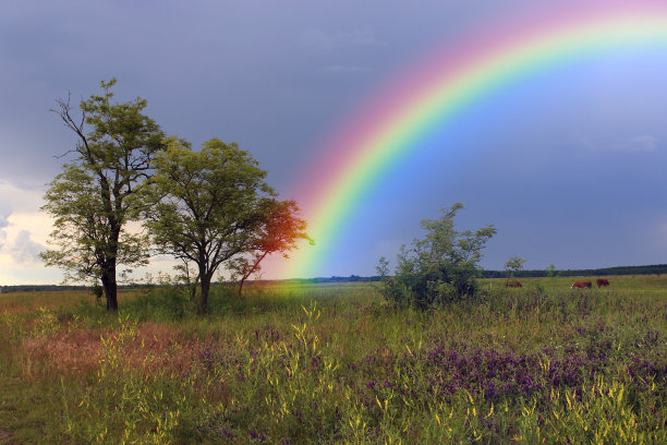 田园风光，绿草如茵，天空湛蓝图片下载