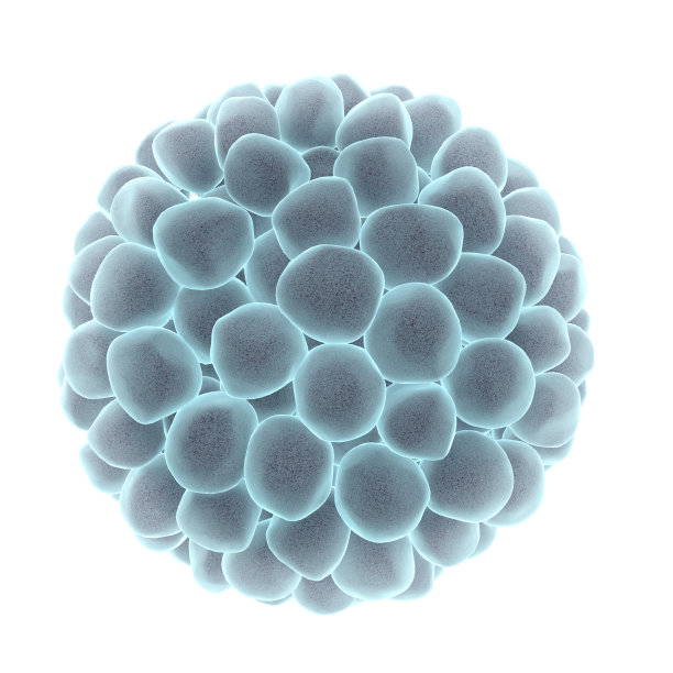 微蜂窝图片下载