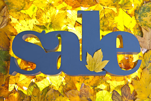 秋天出售图片下载