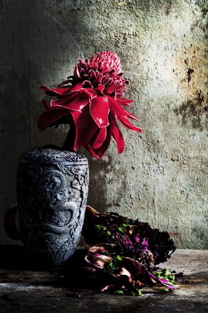 老花静物图片下载