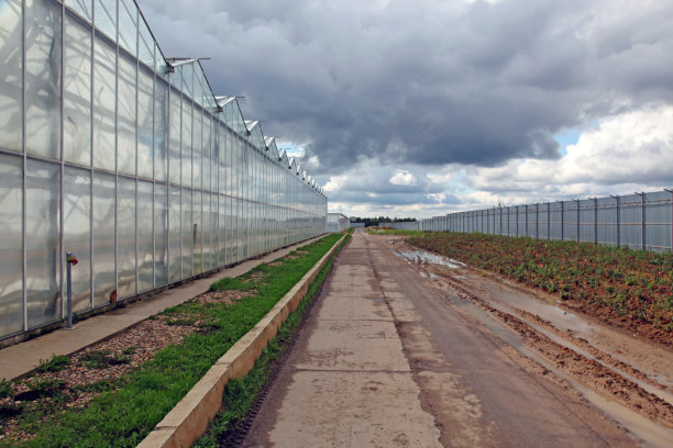 俄罗斯卡卢加的花卉温室图片下载
