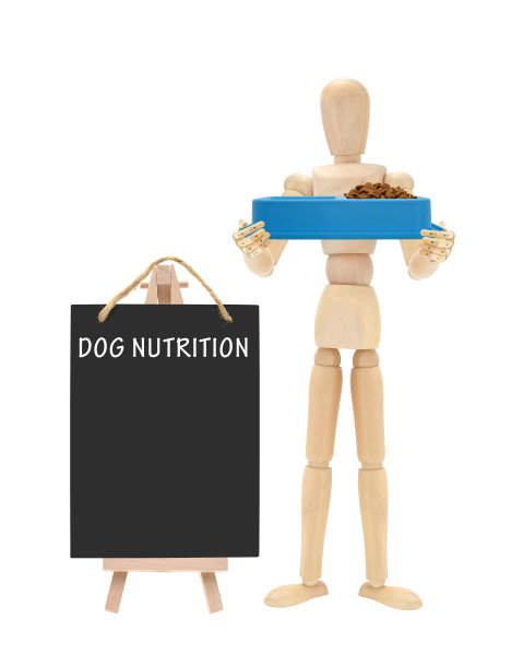 狗营养黑板木人体模型食物盘图片下载