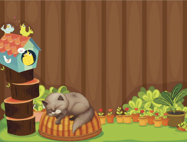 猫和鸟图片下载