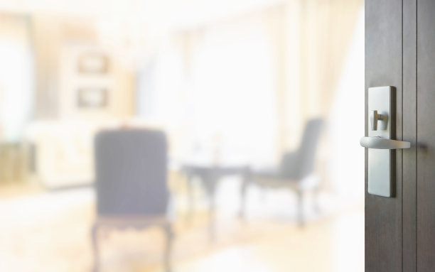 开木门的豪华客厅在现代古典风格图片下载