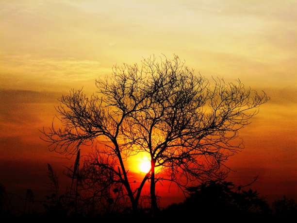 天堂里的日出图片下载