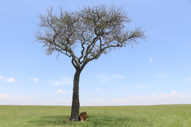 把他单独留下图片下载